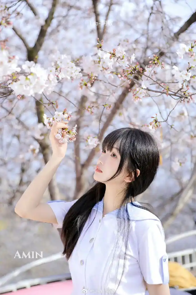 乐视TV下载界面